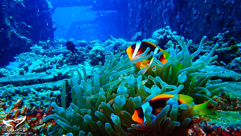 Mövenpick Resort & Spa Soma Bay 149