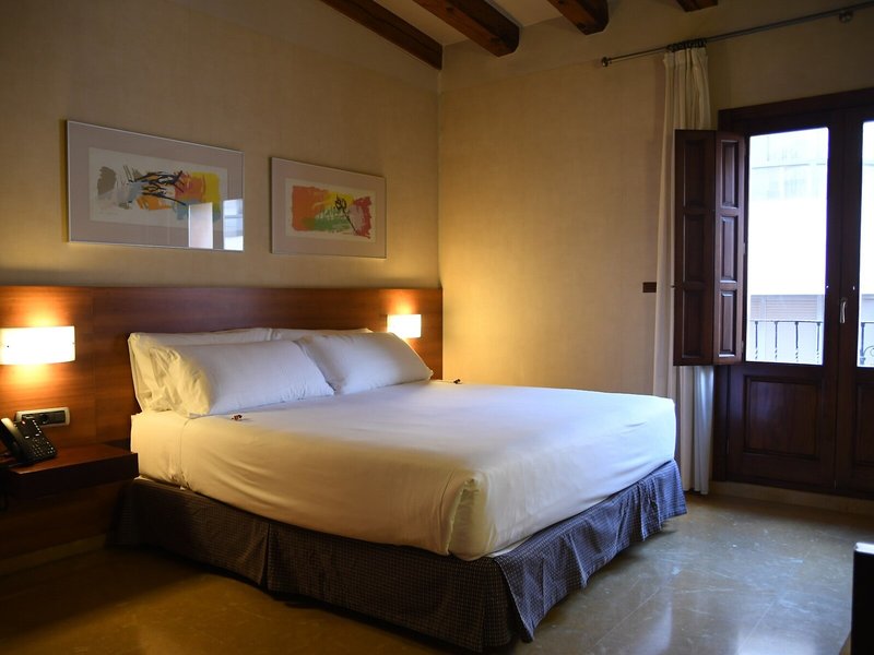 Sercotel Palacio de Tudemir 20