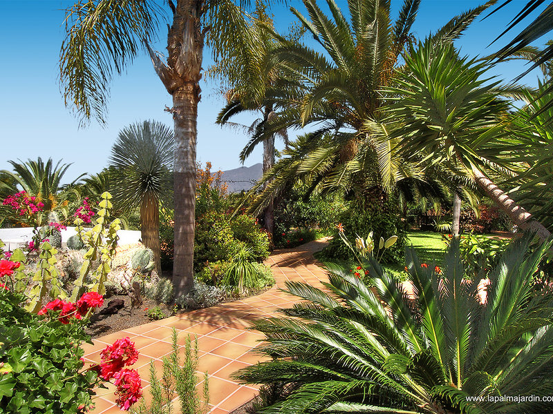 La Palma Jardin 5