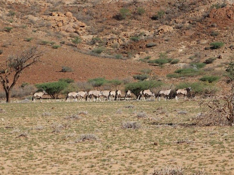 Barkhan Dune Retreat 2 - Landscape