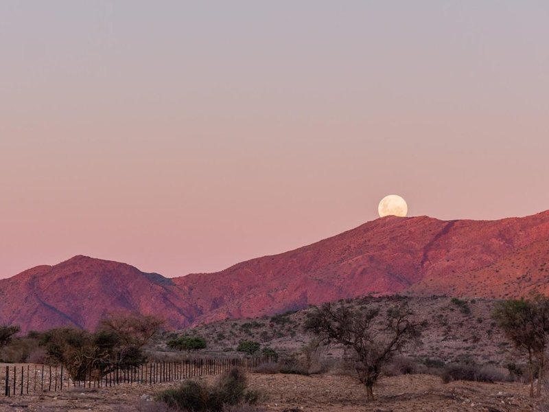 Barkhan Dune Retreat 4 - Landscape
