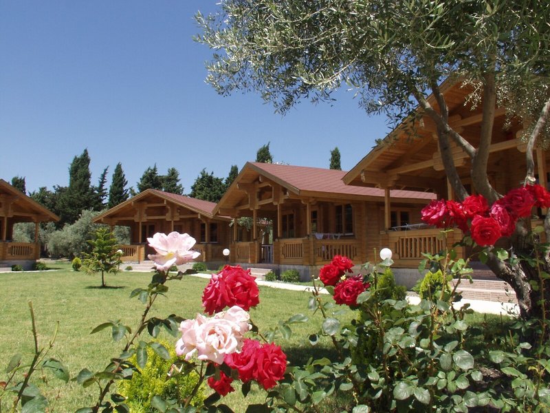 Sandy's Studios & Log-Villas 6