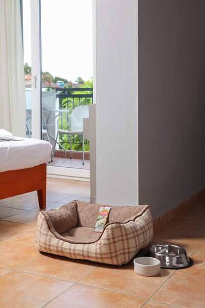 Ampelia Hotel Kassandra 87