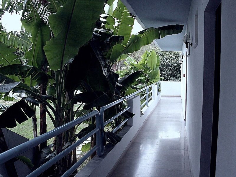 Hotel Elga Kardamena 7