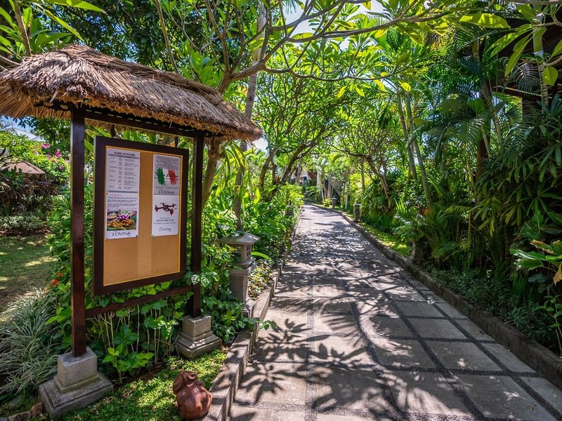 The Lovina Bali 13