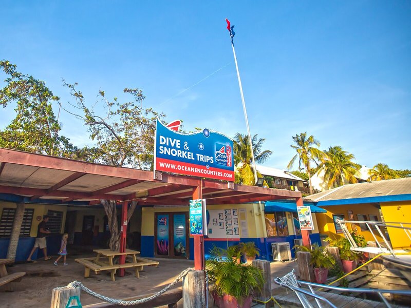 The Royal Sea Aquarium 2