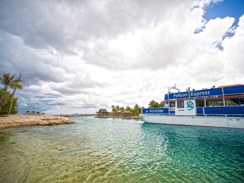 The Royal Sea Aquarium 9