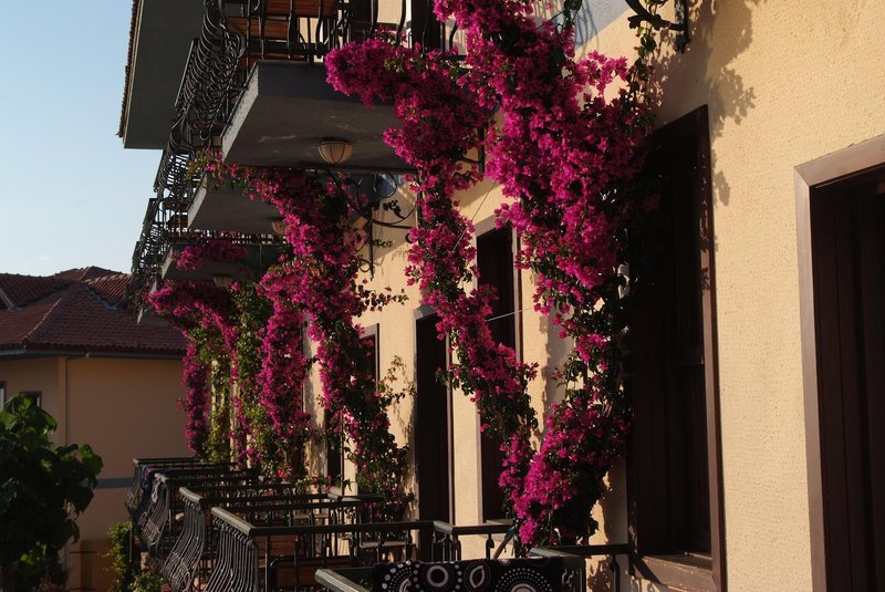 Green Anatolia Club & Hotel 9