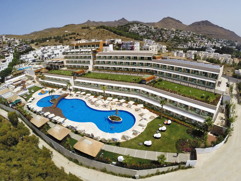 SENTIDO Bellazure 2