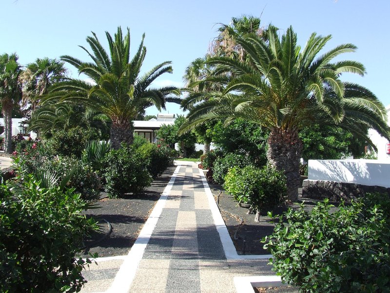 Bungalows Playa Limones 4