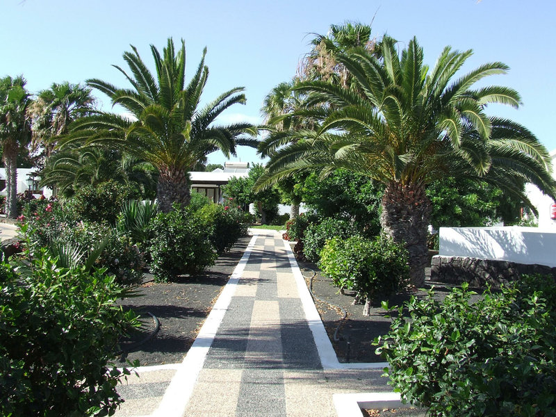 Bungalows Playa Limones 8