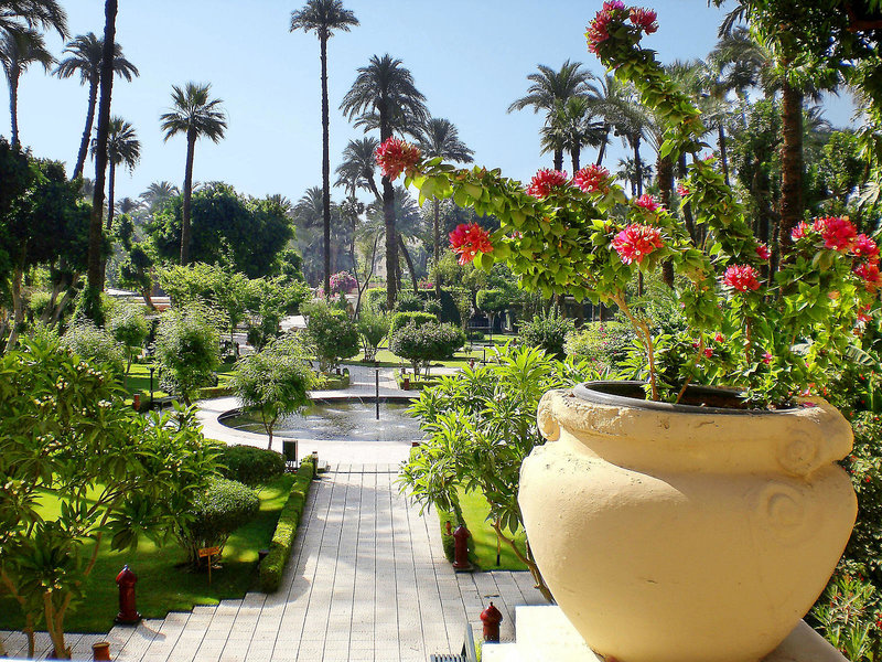 Sofitel Winter Palace Luxor 10