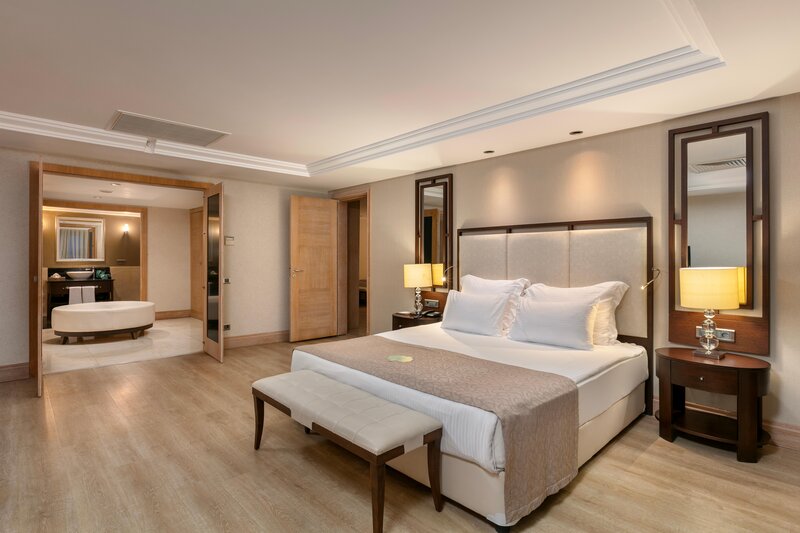 Juju Premier Palace 80