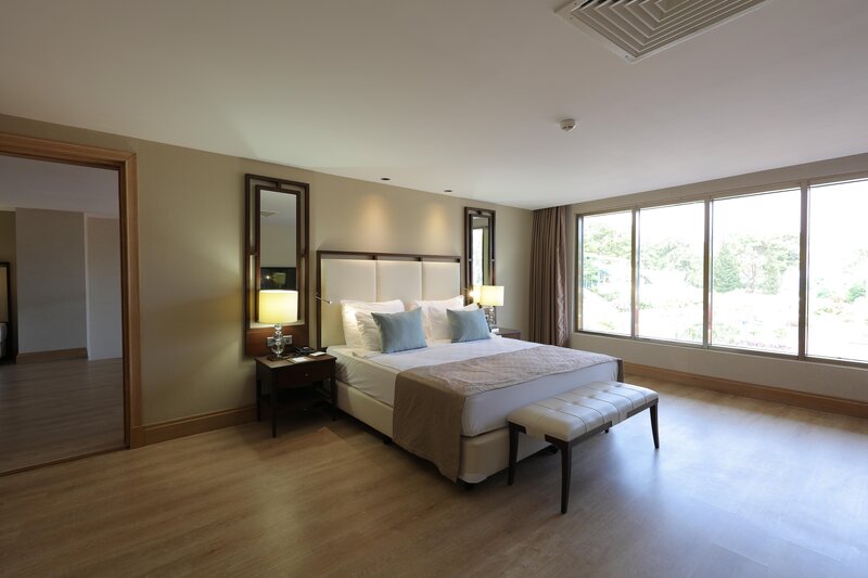 Juju Premier Palace 85