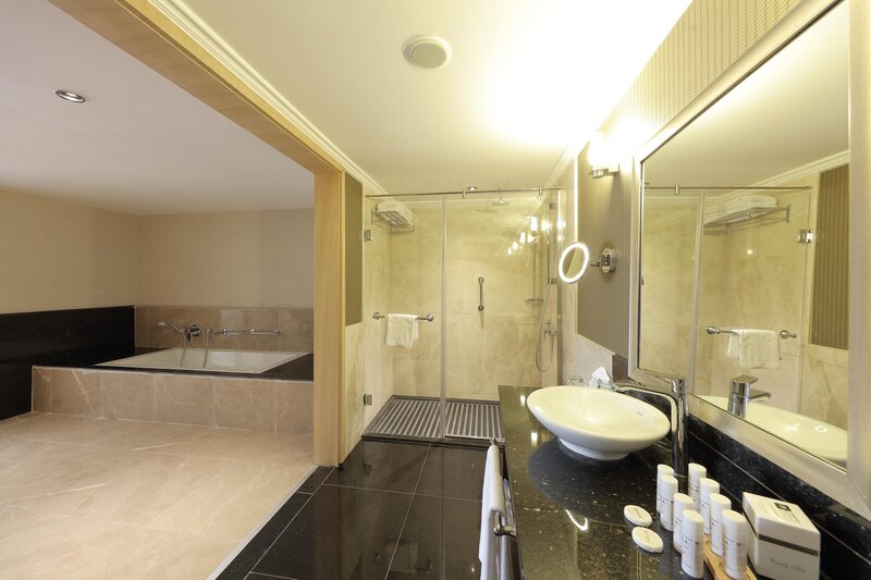 Juju Premier Palace 95
