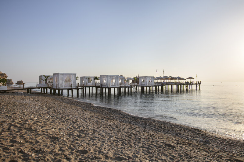 Juju Premier Palace 14