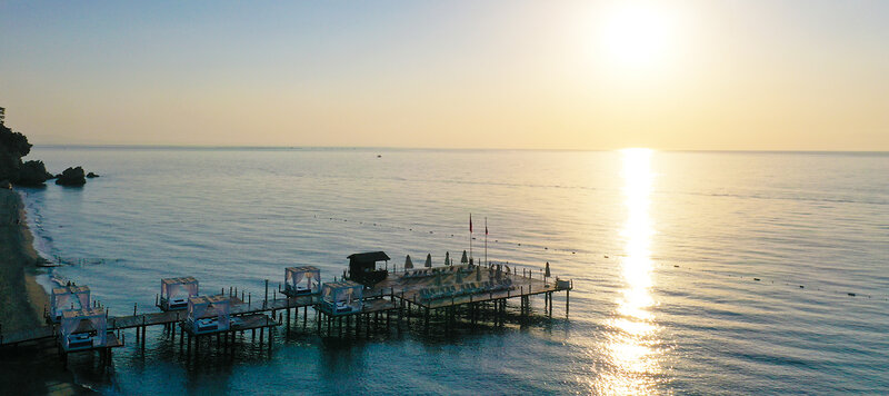 Juju Premier Palace 17