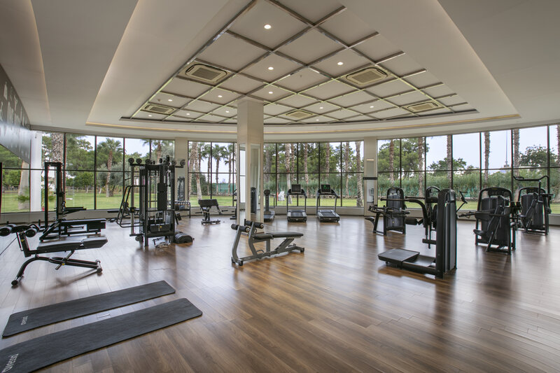 Juju Premier Palace 52