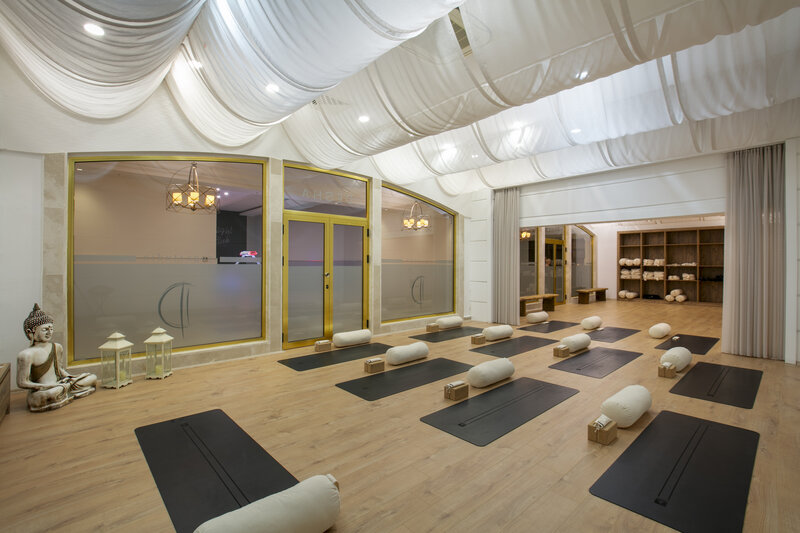 Juju Premier Palace 53