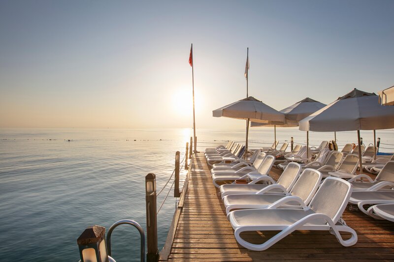 Juju Premier Palace 100