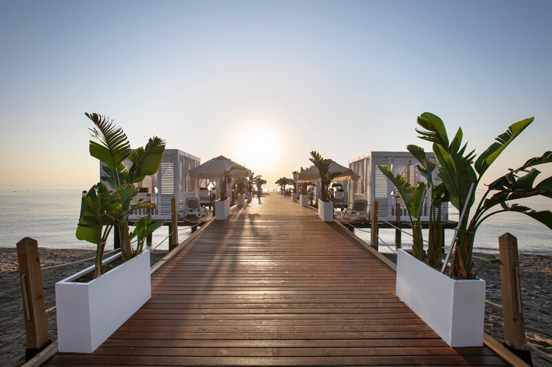 Juju Premier Palace 101