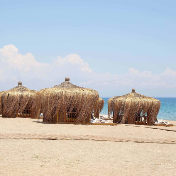 Juju Premier Palace 108