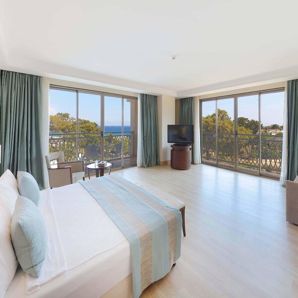 Juju Premier Palace 115