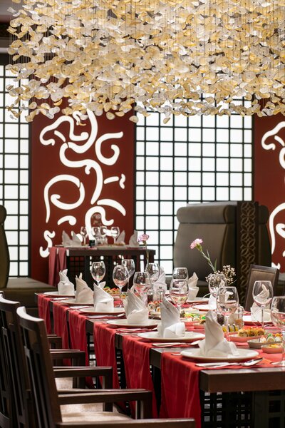 Juju Premier Palace 185