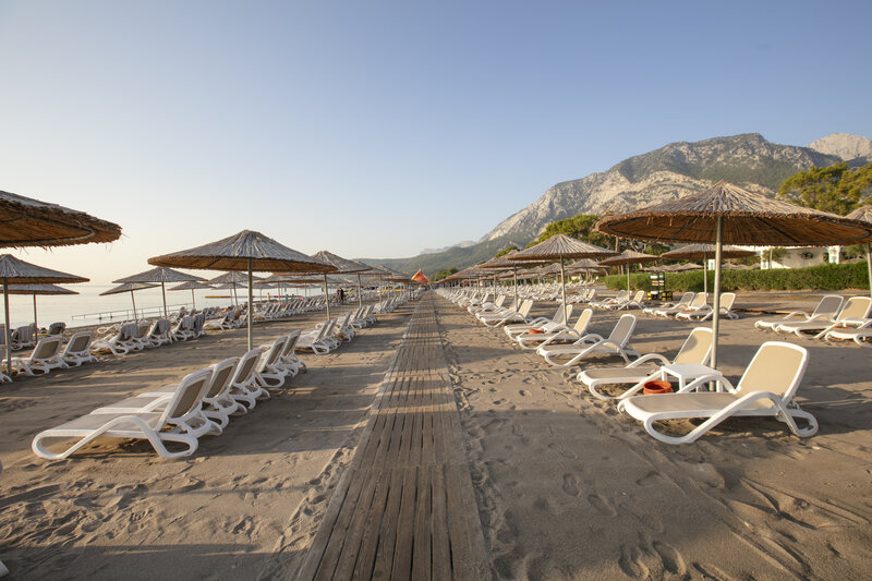 Juju Premier Palace 5