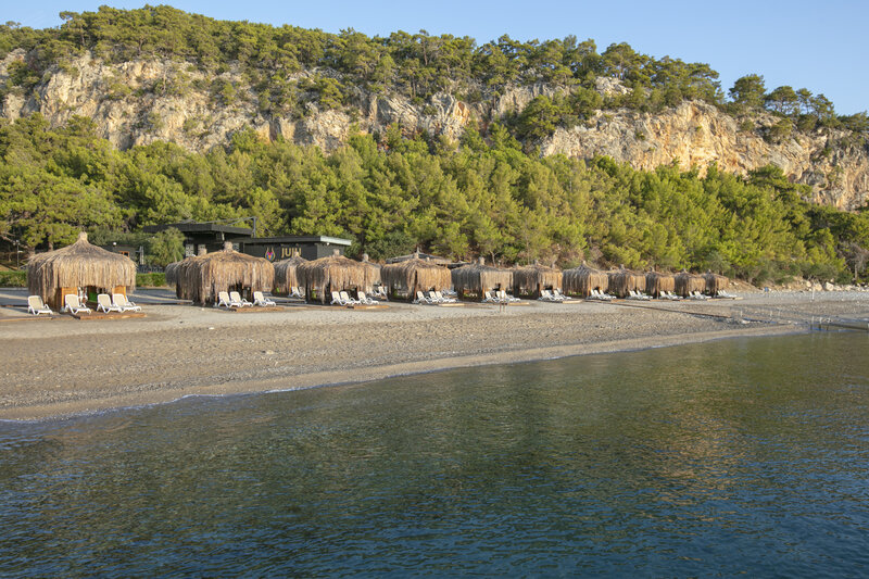 Juju Premier Palace 13