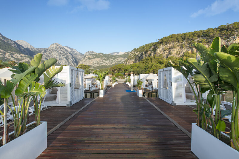 Juju Premier Palace 15