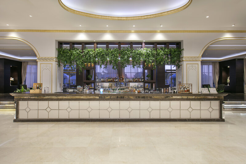 Juju Premier Palace 47