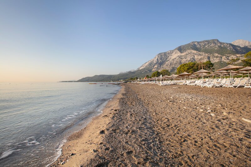 Juju Premier Palace 104