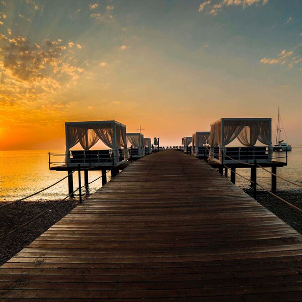 Juju Premier Palace 217