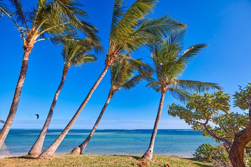 Hotel Riu Turquoise 3