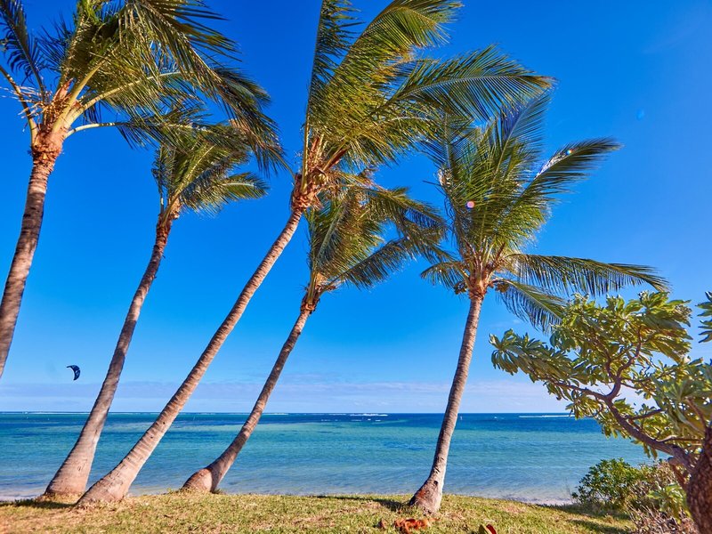 Hotel Riu Turquoise 6