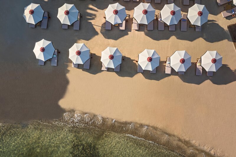 Thor by Alkoclar Exclusive 203