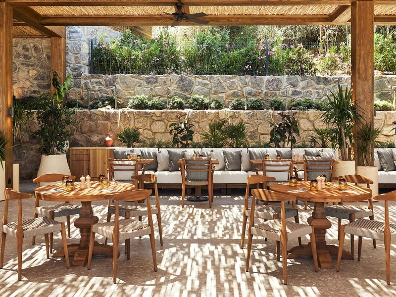 Thor by Alkoclar Exclusive 20