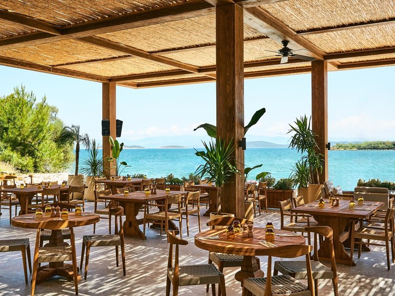 Thor by Alkoclar Exclusive 22