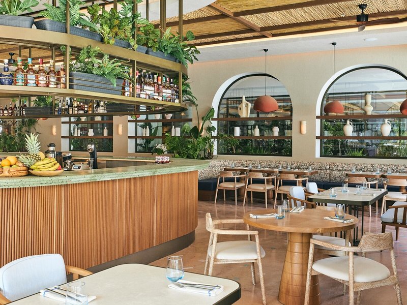 Thor by Alkoclar Exclusive 24