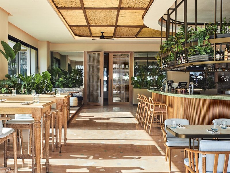 Thor by Alkoclar Exclusive 25