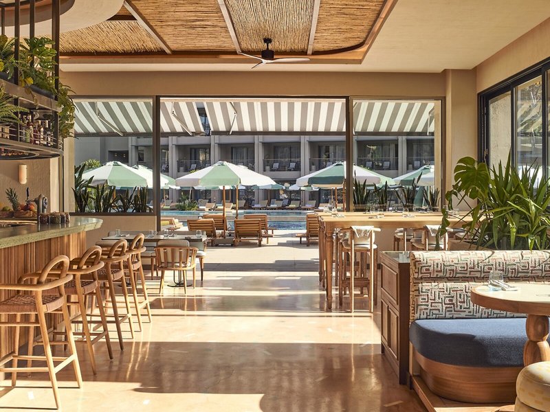 Thor by Alkoclar Exclusive 26