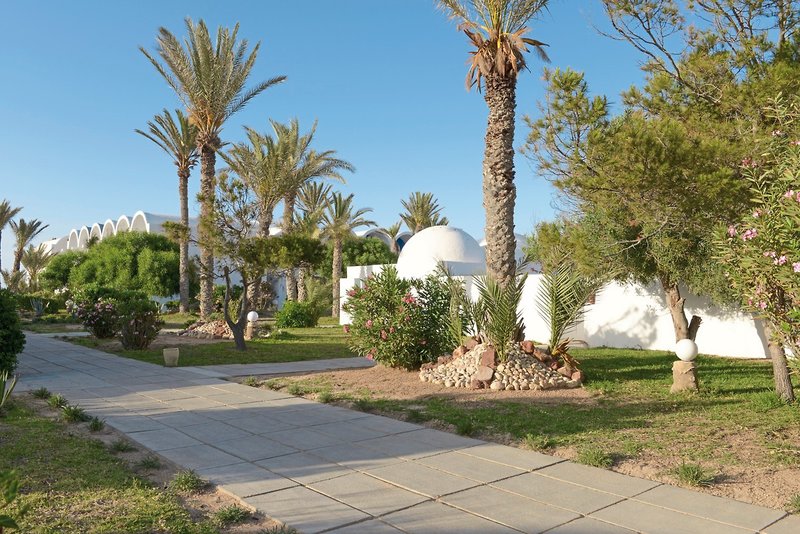 Dar Jerba Narjess  8