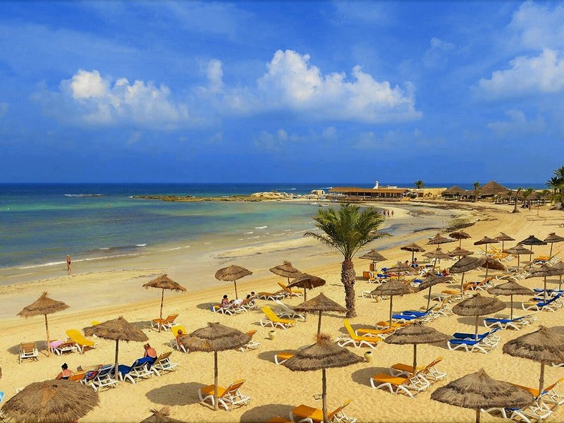 Dar Jerba Narjess  8