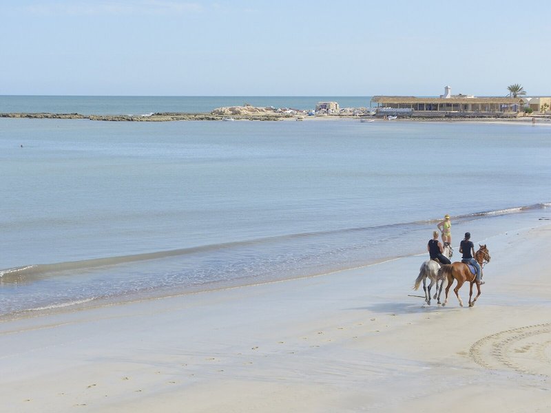 Dar Jerba Narjess  15