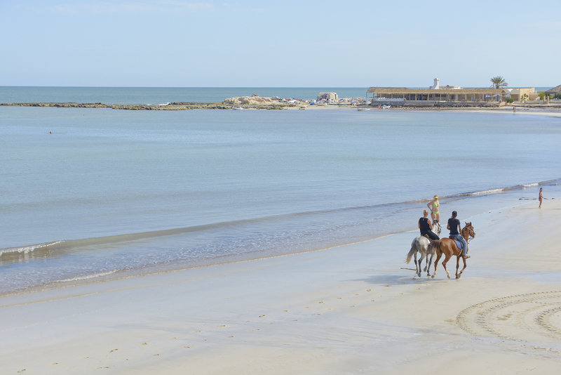 Dar Jerba Narjess  12