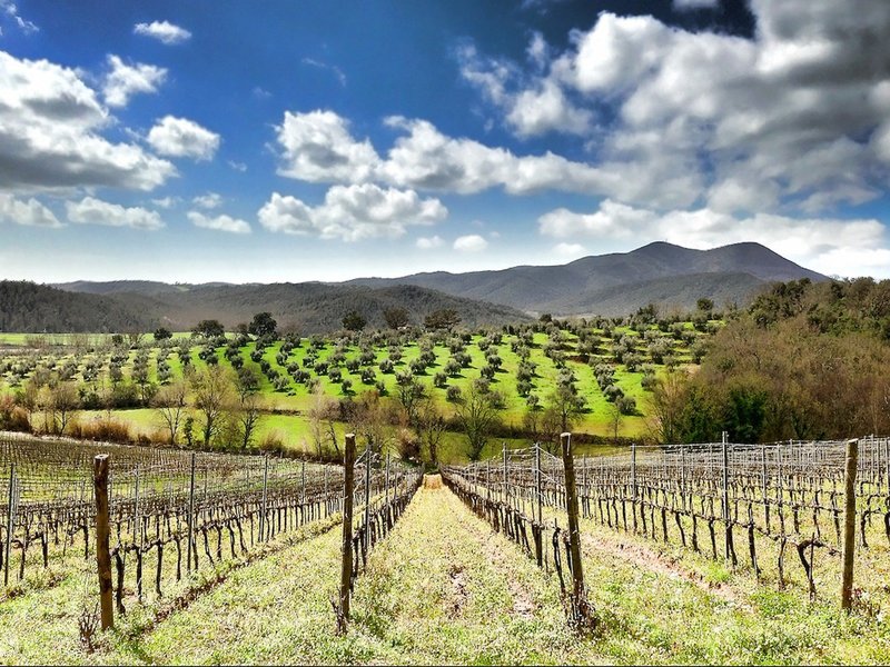 Montebelli Agriturismo & Country Hotel 8