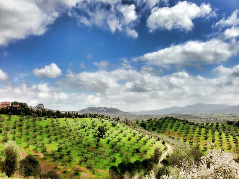 Montebelli Agriturismo & Country Hotel 9