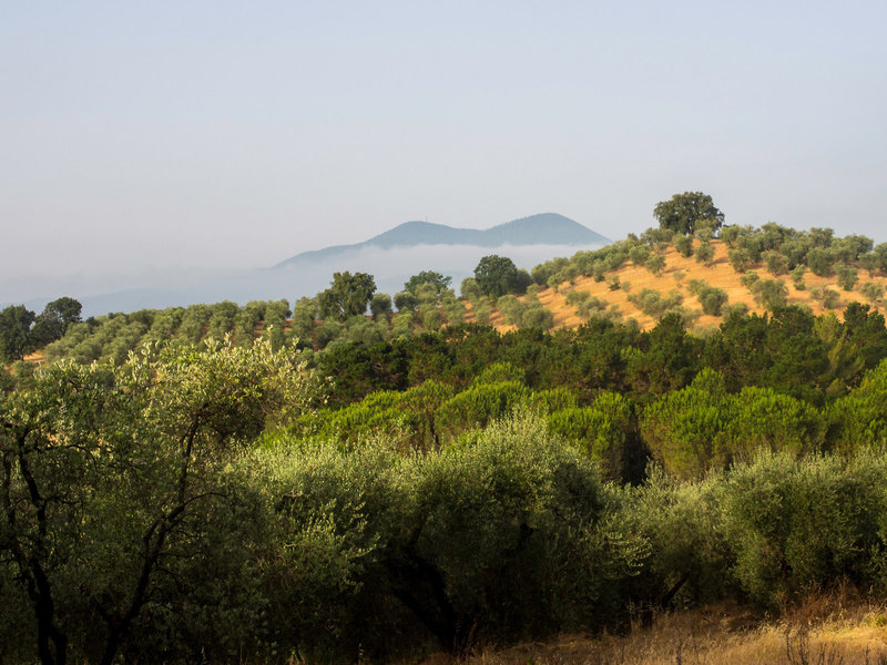 Montebelli Agriturismo & Country Hotel 10