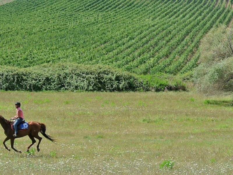 Montebelli Agriturismo & Country Hotel 45